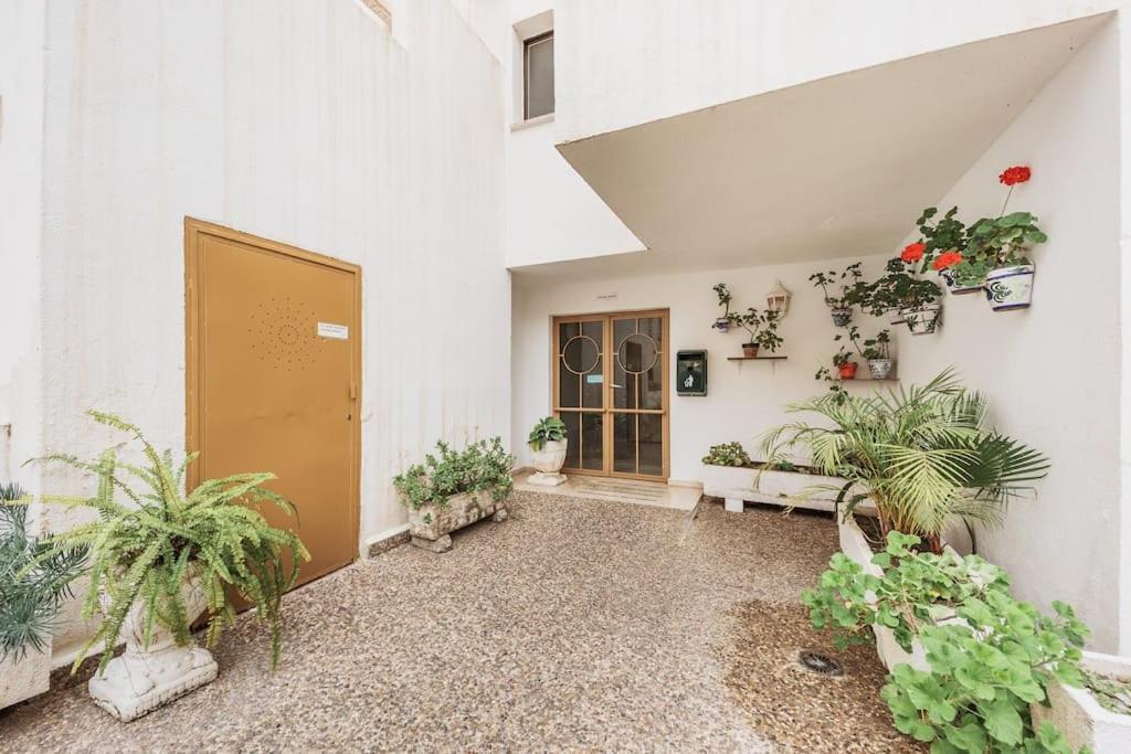 Modern First Line Apartment Almunecar Ngoại thất bức ảnh